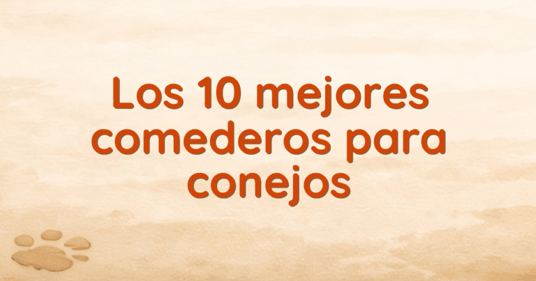Los 10 mejores comederos para conejos