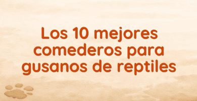 Los 10 mejores comederos para gusanos de reptiles
