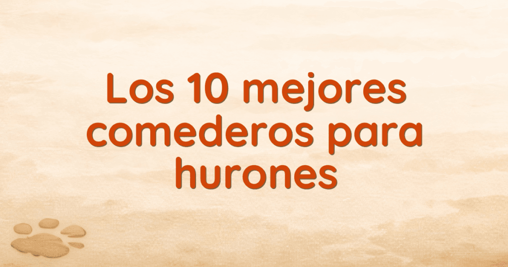Los 10 mejores comederos para hurones Los 10 mejores comederos para hurones
