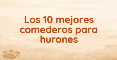 Los 10 mejores comederos para hurones Los 10 mejores comederos para hurones