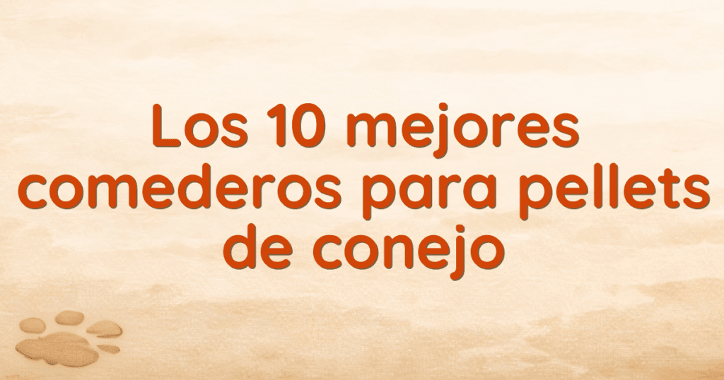 Los 10 mejores comederos para pellets de conejo Los 10 mejores comederos para pellets de conejo