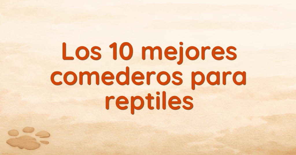 Los 10 mejores comederos para reptiles Los 10 mejores comederos para reptiles