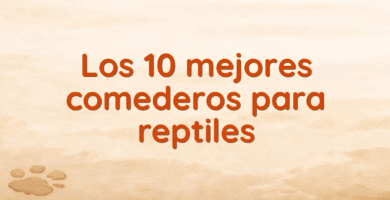 Los 10 mejores comederos para reptiles Los 10 mejores comederos para reptiles