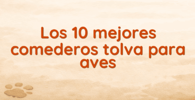 Los 10 mejores comederos tolva para aves