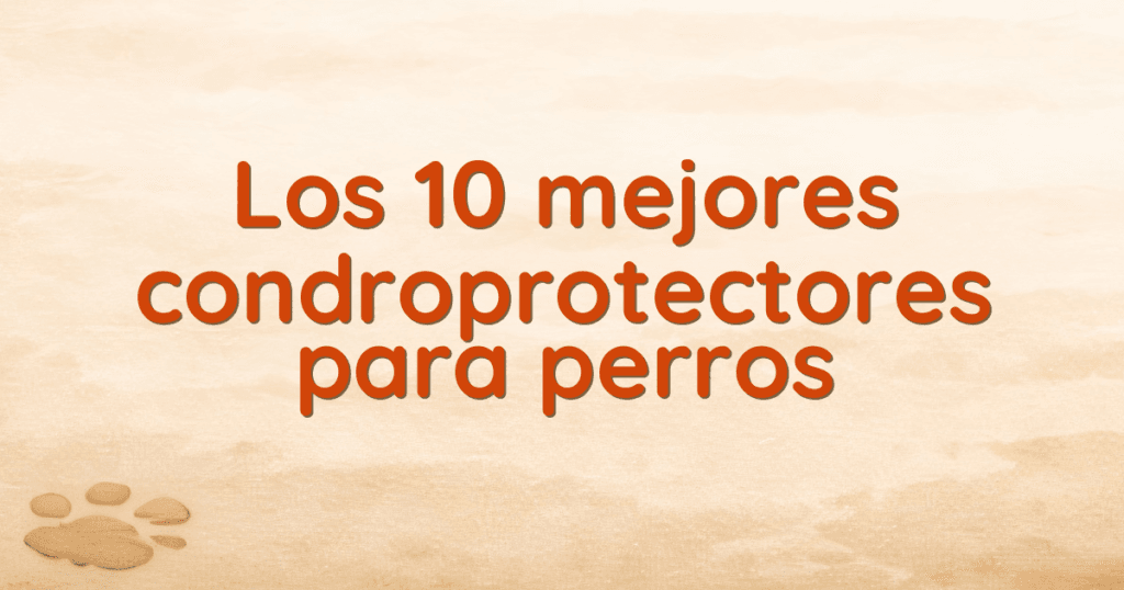 Los 10 mejores condroprotectores para perros Los 10 mejores condroprotectores para perros