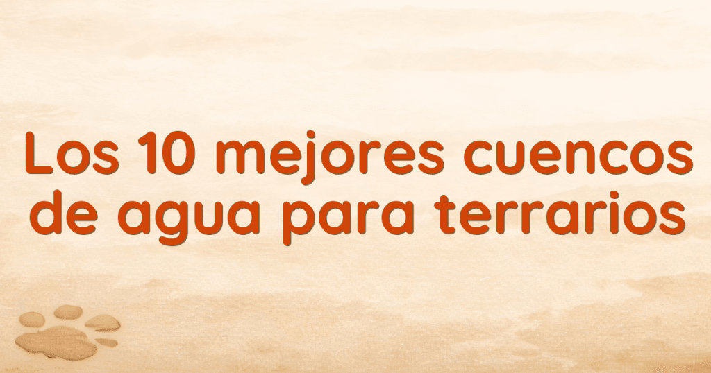 Los 10 mejores cuencos de agua para terrarios
