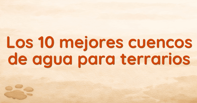 Los 10 mejores cuencos de agua para terrarios