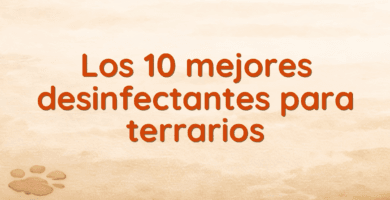 Los 10 mejores desinfectantes para terrarios Los 10 mejores desinfectantes para terrarios
