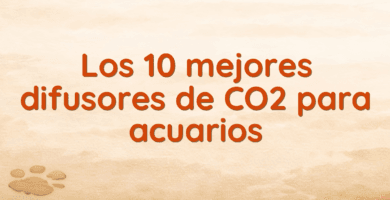 Los 10 mejores difusores de CO2 para acuarios