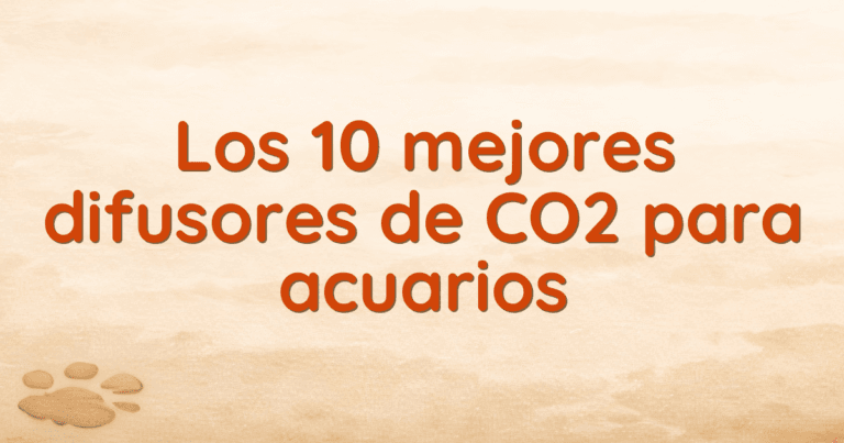Los 10 mejores difusores de CO2 para acuarios Los 10 mejores difusores de CO2 para acuarios