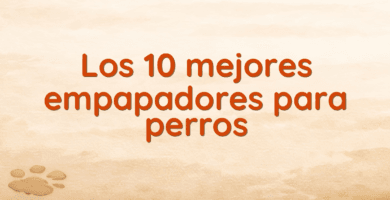 Los 10 mejores empapadores para perros