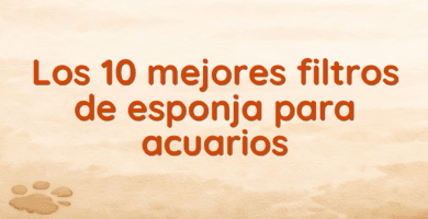 Los 10 mejores filtros de esponja para acuarios