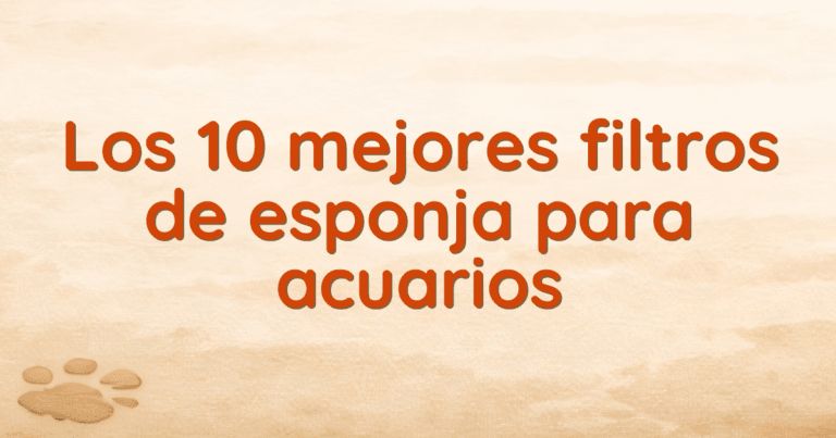 Los 10 mejores filtros de esponja para acuarios