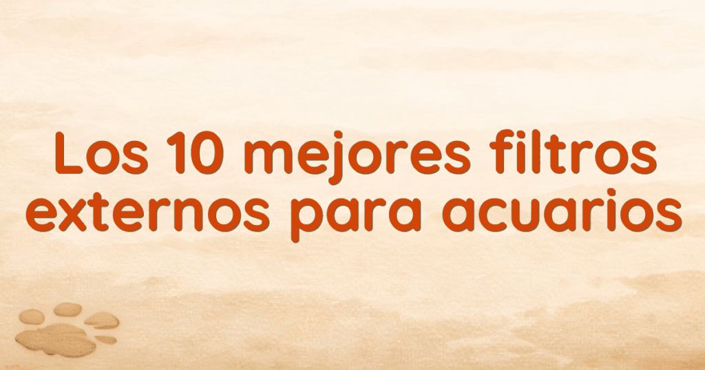Los 10 mejores filtros externos para acuarios Los 10 mejores filtros externos para acuarios