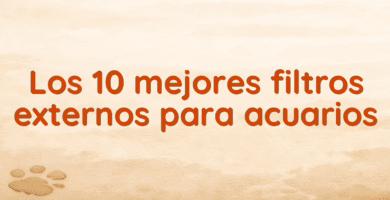 Los 10 mejores filtros externos para acuarios