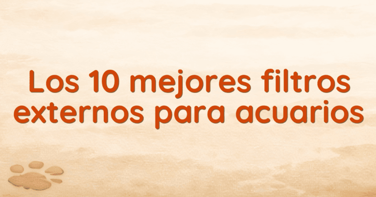 Los 10 mejores filtros externos para acuarios Los 10 mejores filtros externos para acuarios