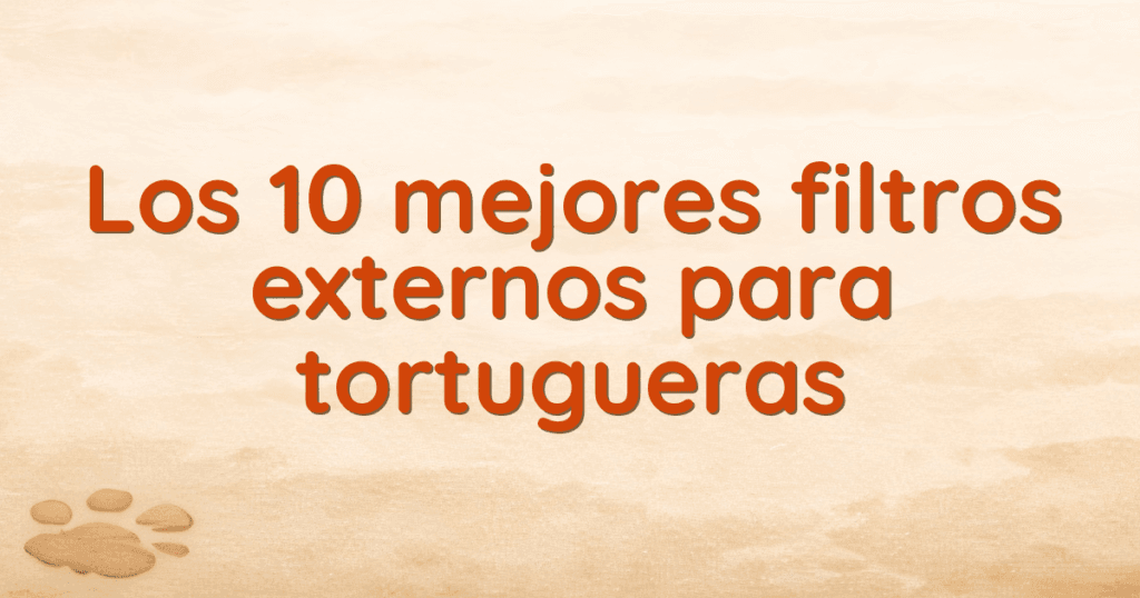 Los 10 mejores filtros externos para tortugueras