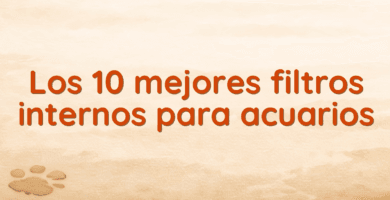 Los 10 mejores filtros internos para acuarios