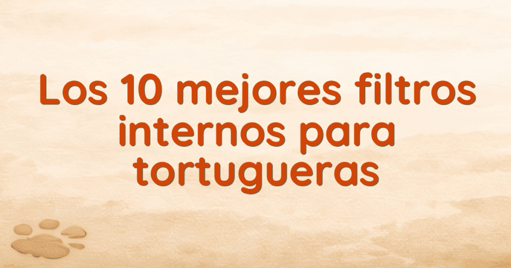 Los 10 mejores filtros internos para tortugueras