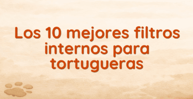 Los 10 mejores filtros internos para tortugueras