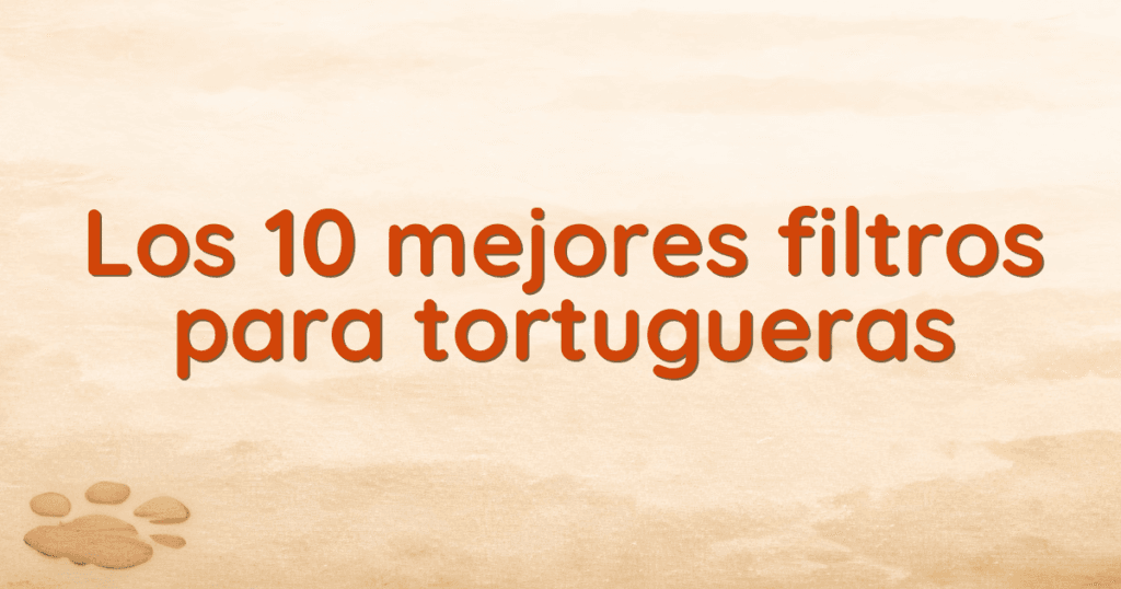 Los 10 mejores filtros para tortugueras