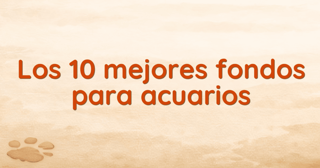 Los 10 mejores fondos para acuarios