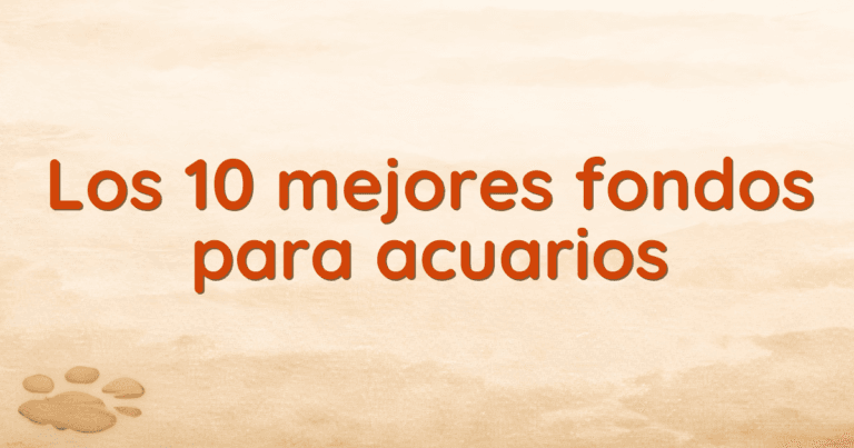 Los 10 mejores fondos para acuarios Los 10 mejores fondos para acuarios