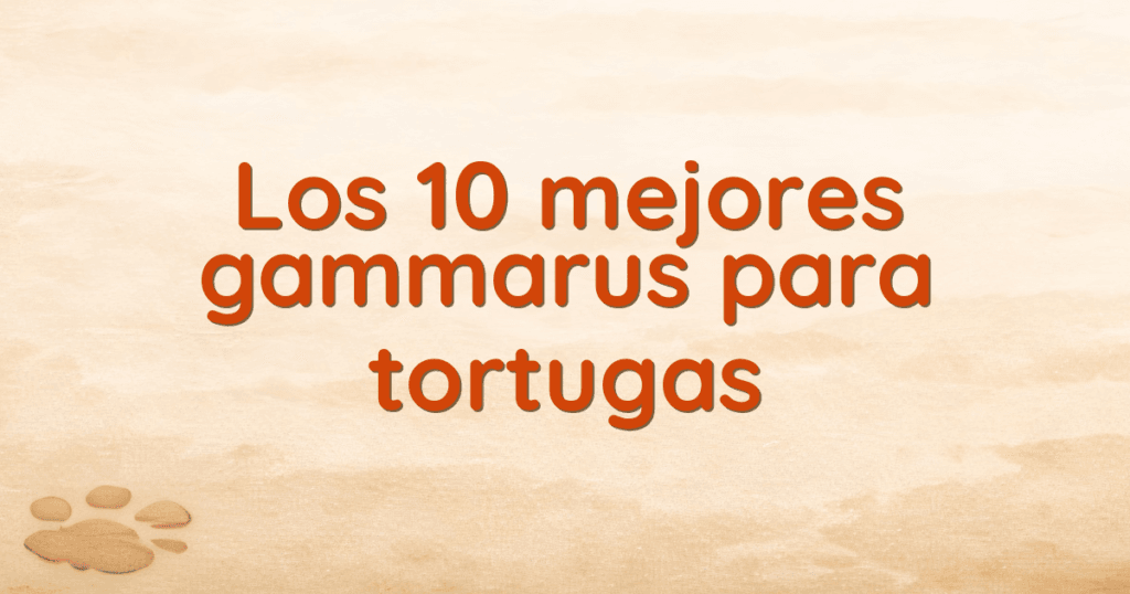 Los 10 mejores gammarus para tortugas Los 10 mejores gammarus para tortugas