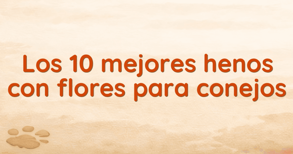 Los 10 mejores henos con flores para conejos Los 10 mejores henos con flores para conejos