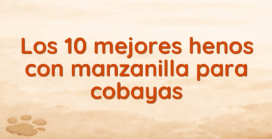 Los 10 mejores henos con manzanilla para cobayas