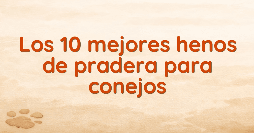 Los 10 mejores henos de pradera para conejos