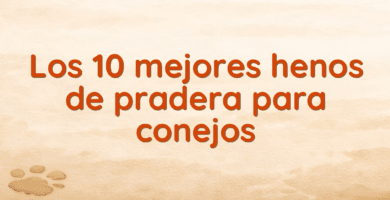 Los 10 mejores henos de pradera para conejos