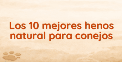 Los 10 mejores henos natural para conejos