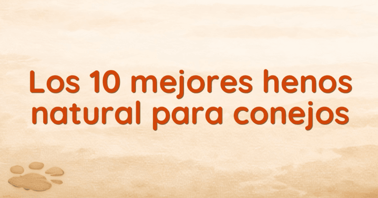Los 10 mejores henos natural para conejos