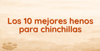 Los 10 mejores henos para chinchillas