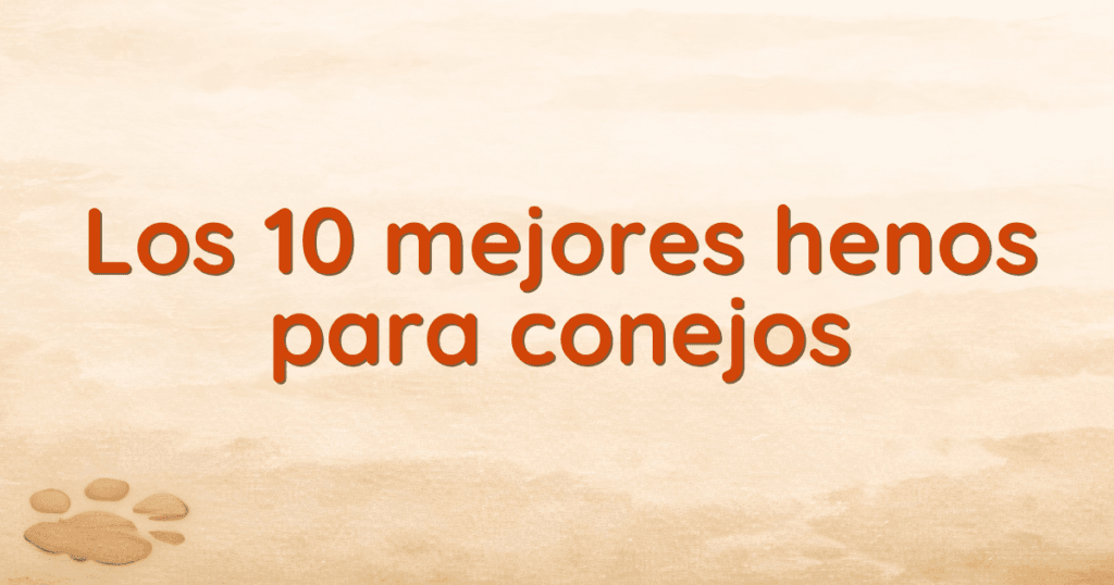 Los 10 mejores henos para conejos Los 10 mejores henos para conejos