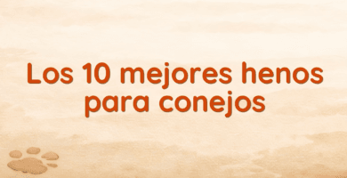 Los 10 mejores henos para conejos