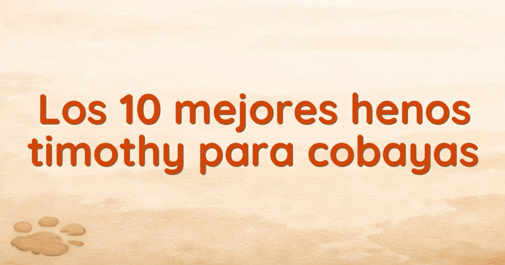 Los 10 mejores henos timothy para cobayas