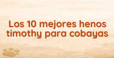 Los 10 mejores henos timothy para cobayas Los 10 mejores henos timothy para cobayas