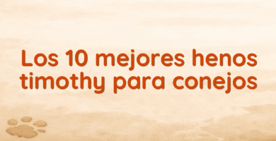 Los 10 mejores henos timothy para conejos Los 10 mejores henos timothy para conejos