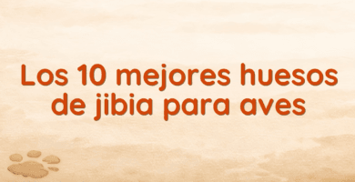 Los 10 mejores huesos de jibia para aves