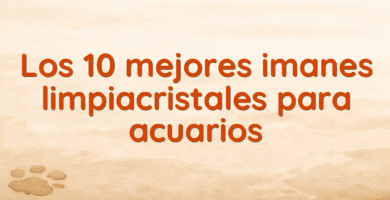 Los 10 mejores imanes limpiacristales para acuarios