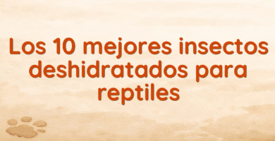 Los 10 mejores insectos deshidratados para reptiles