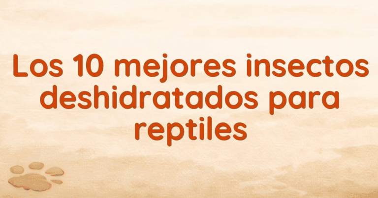 Los 10 mejores insectos deshidratados para reptiles