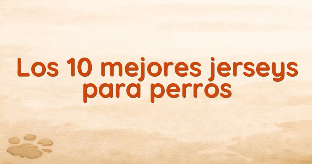 Los 10 mejores jerseys para perros