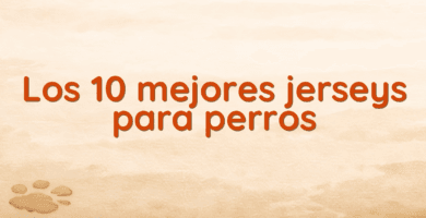 Los 10 mejores jerseys para perros