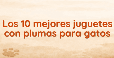 Los 10 mejores juguetes con plumas para gatos