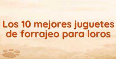 Los 10 mejores juguetes de forrajeo para loros Los 10 mejores juguetes de forrajeo para loros