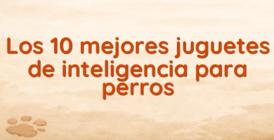 Los 10 mejores juguetes de inteligencia para perros Los 10 mejores juguetes de inteligencia para perros