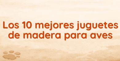 Los 10 mejores juguetes de madera para aves